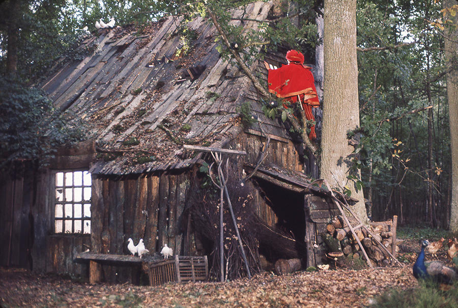 La fameuse cabane de Peau d'âne. Intrigué par cette dernière, le prince (Jacques Perrin), grimpe jusqu'à une fenêtre et y découvre la jeune femme (image tirée du film de Jacques Demy). 2003 Succession Demy